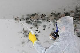 Best Crawl Space Mold Remediation  in Palos Verdes Estates, CA